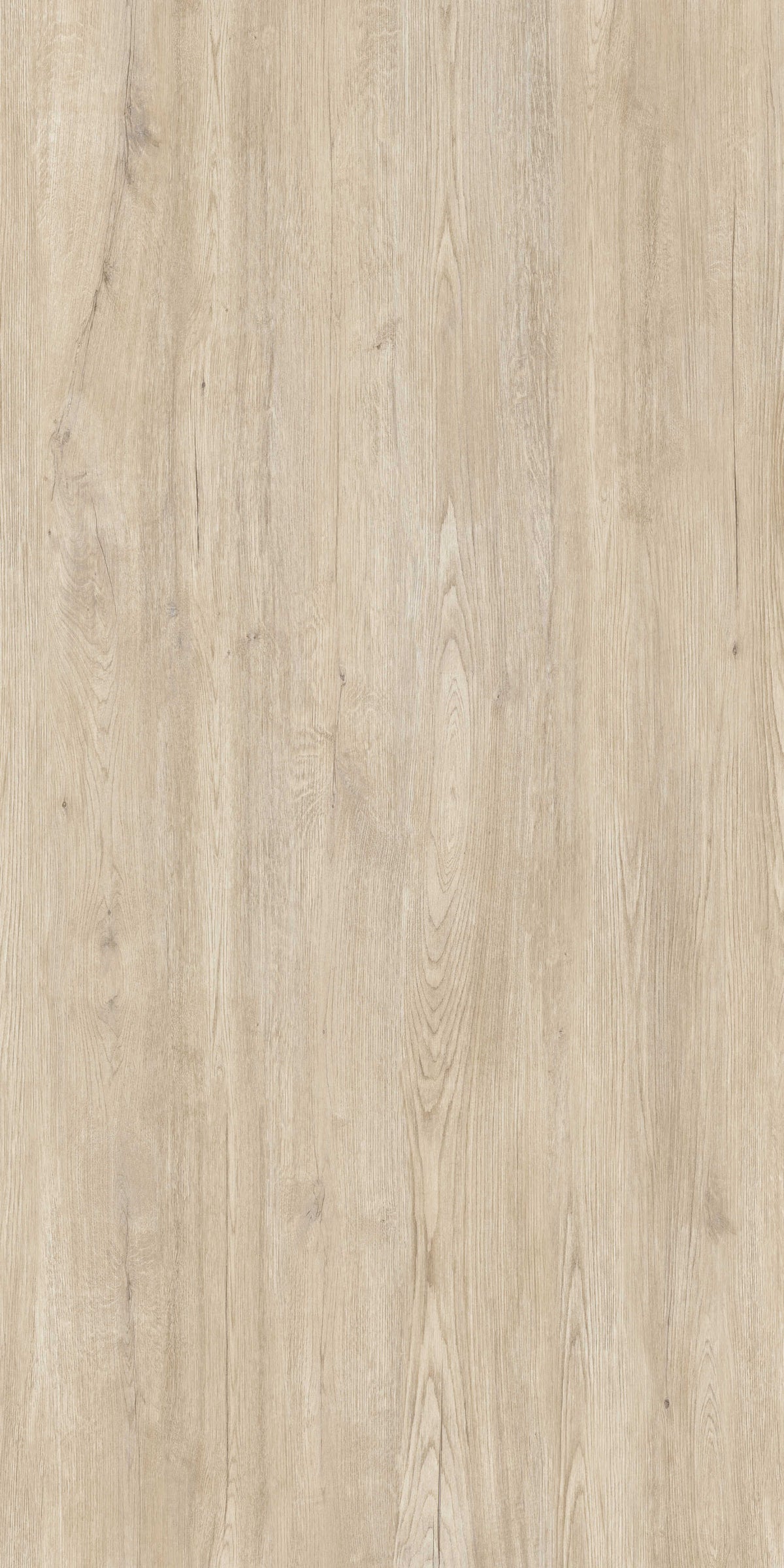 Jungla Abeto Porcelain Slab