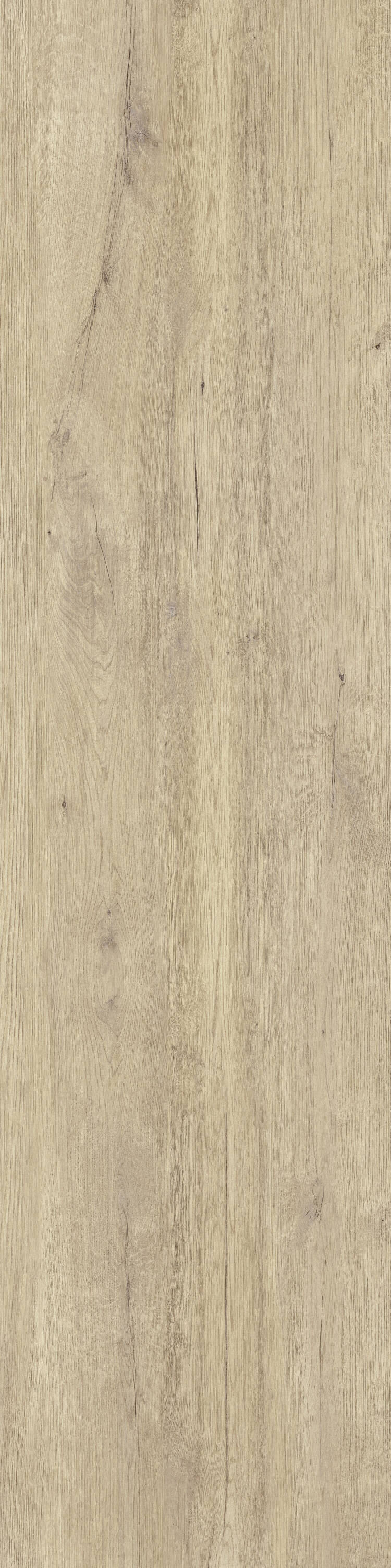 Jungla Cipres Porcelain Slab