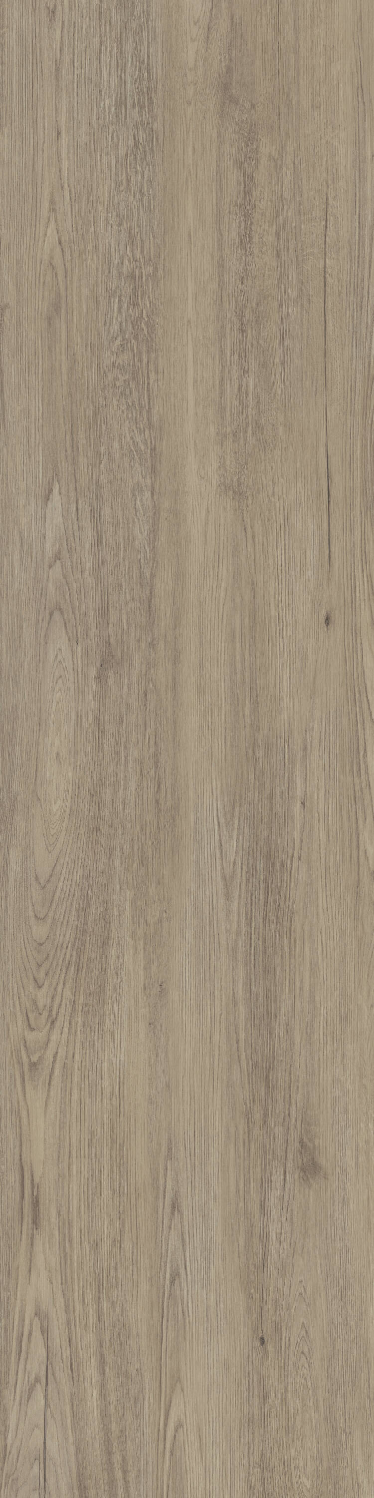 Jungla Roble Porcelain Slab