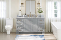 Ariel taylor (60") single sink base cabinet.