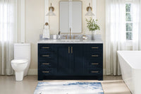 Ariel taylor (60") single sink base cabinet.