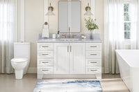 Ariel taylor (60") single sink base cabinet.