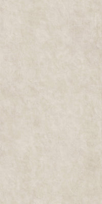 Surface Arena Porcelain Slab