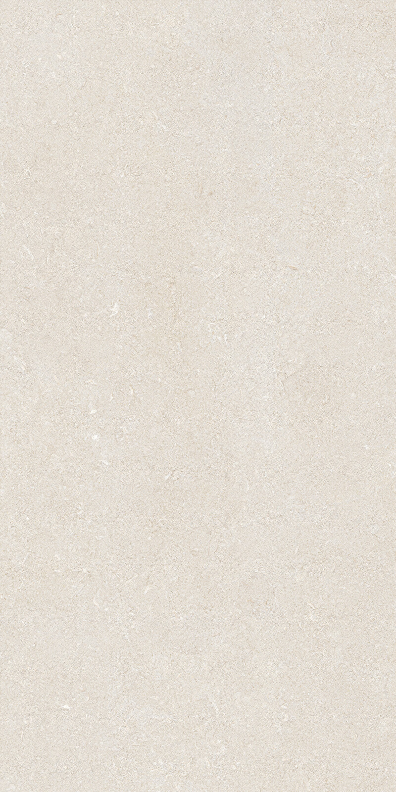 Vicenza Antica Ivory Porcelain Slab