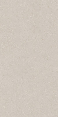 Vicenza Antica Grey Porcelain Slab