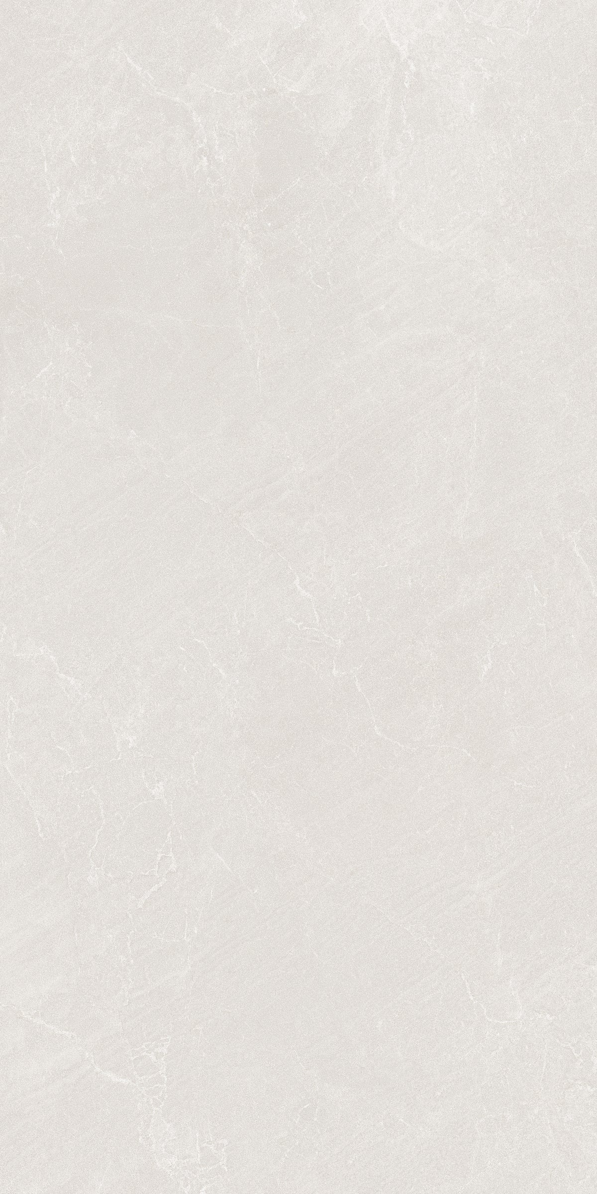 Zarci Perla Porcelain Slab